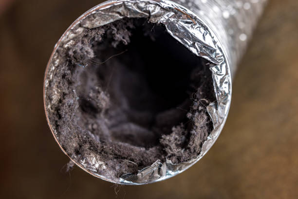 Best HVAC Air Duct Cleaning  in Leland, MS