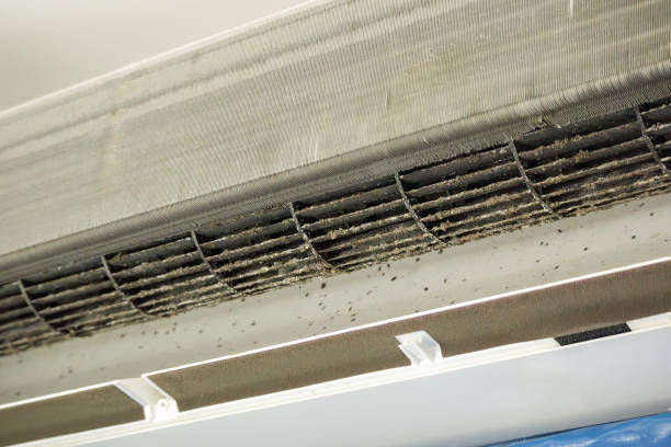 Best Ventilation Cleaning Services  in Leland, MS